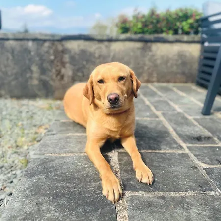 Сasa de vacaciones 5 Bed In Windermere Oc-93302 Troutbeck Bridge