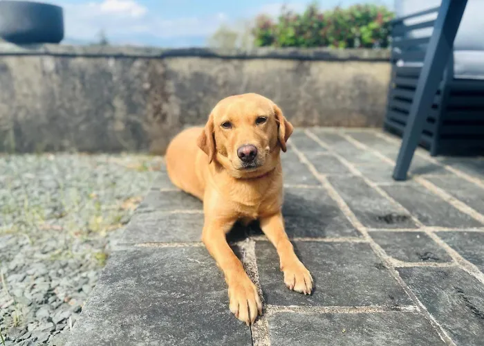 5 Bed In Windermere Oc-93302 Casa de Férias